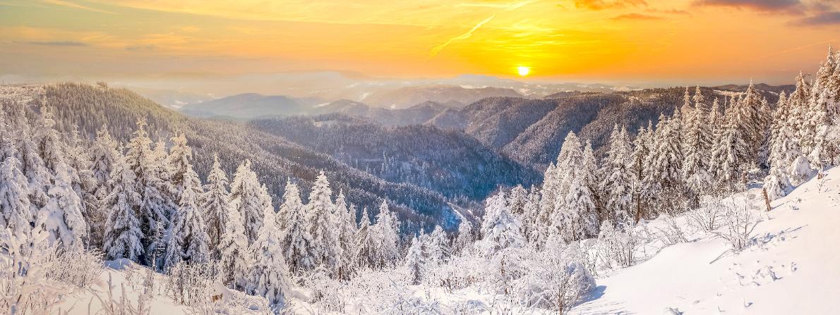  Winter Landscape In The Black Forest, Germany