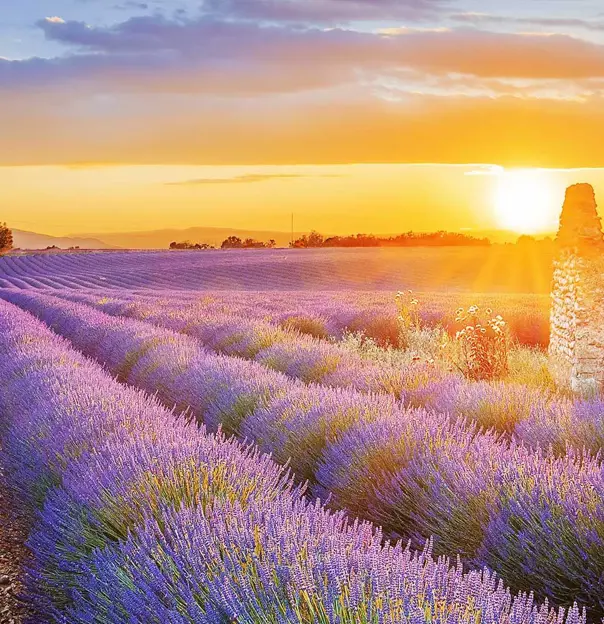 Provence