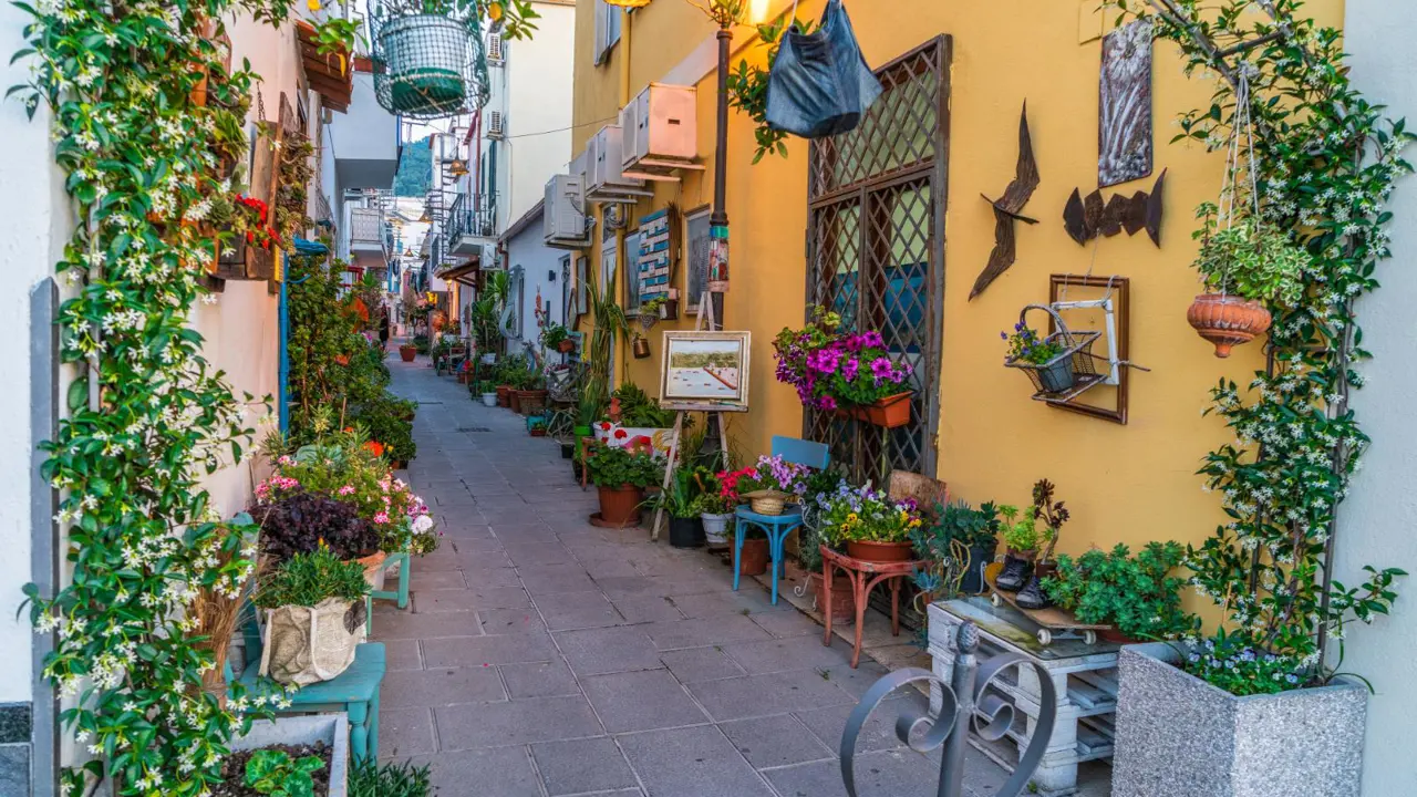 Ischia Island