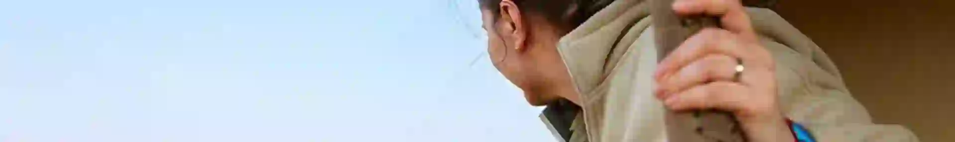 The Best Time To Go On An African Safari Featured