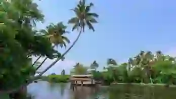 AS 49602800 Traditional Houseboat, Kerala, India