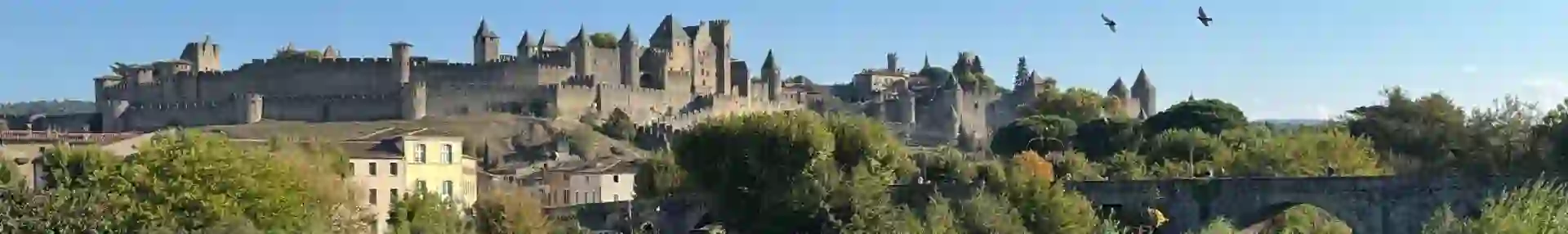 Ellen Carcassonne View From New Bridge