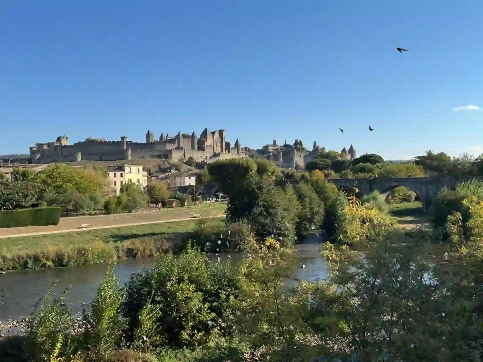 Ellen Carcassonne View From New Bridge