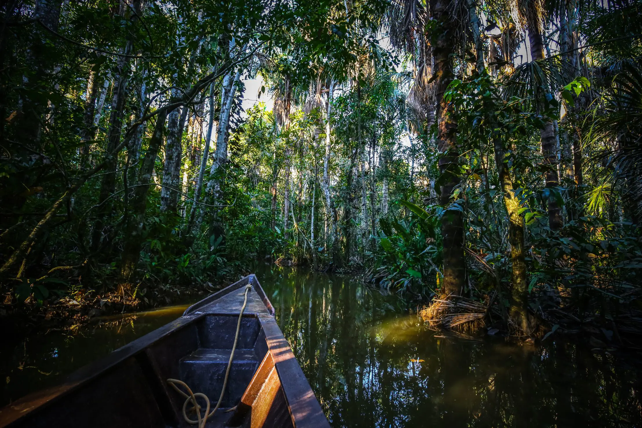 Boat on Lake Sandoval, Tambopata National Reserve