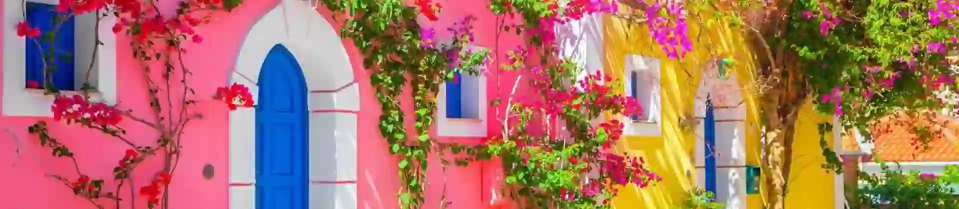 Pink house and a yellow house, with blue front doors and Juliette balconies. Pink and purple flowers growing against them.