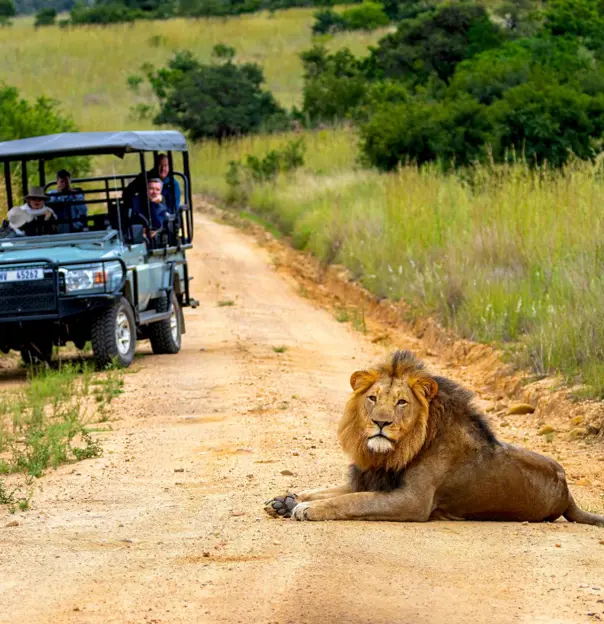 Babanango Game Reserve, game drive