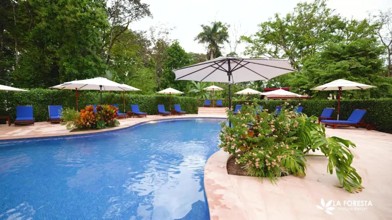 La Foresta Nature Resort, Manuel Antonio, pool