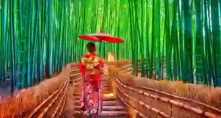 A geisha holding a parasol walks up stone steps through the Arashiyama Bamboo Forest in Kyoto, Japan, surrounded by tall, green bamboo stalks