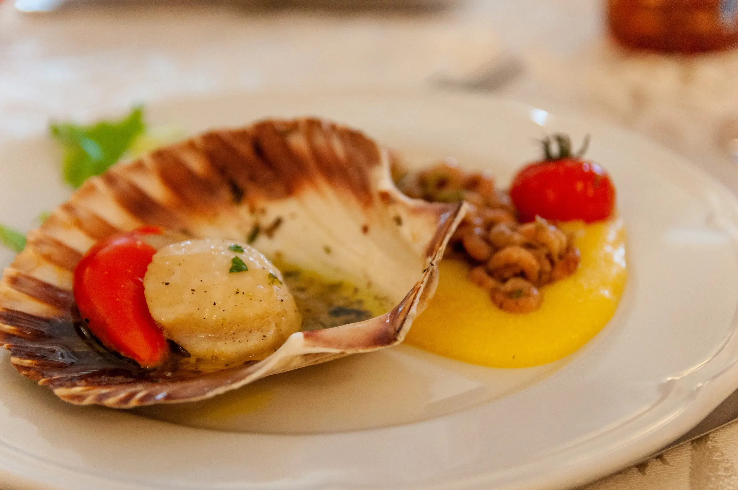 Scallops