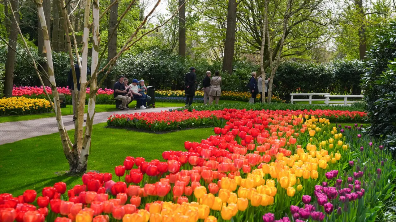 Keukenhof Gardens
