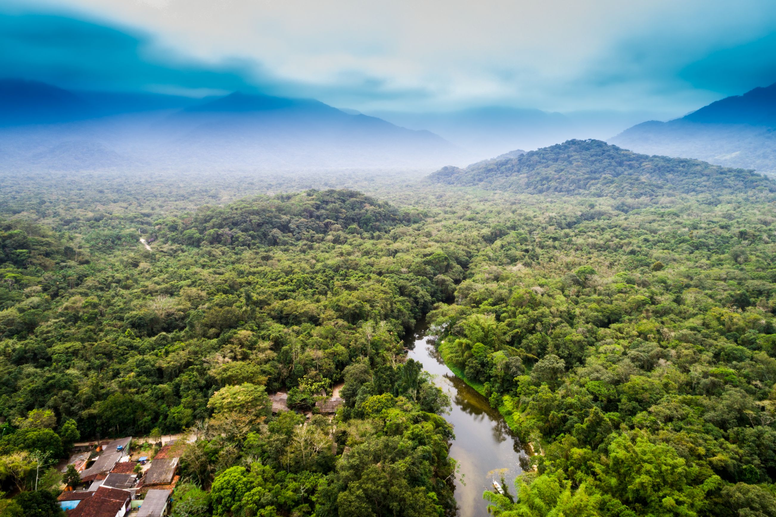 Aerial view of the Amazon rainforest with its dense green canopy
