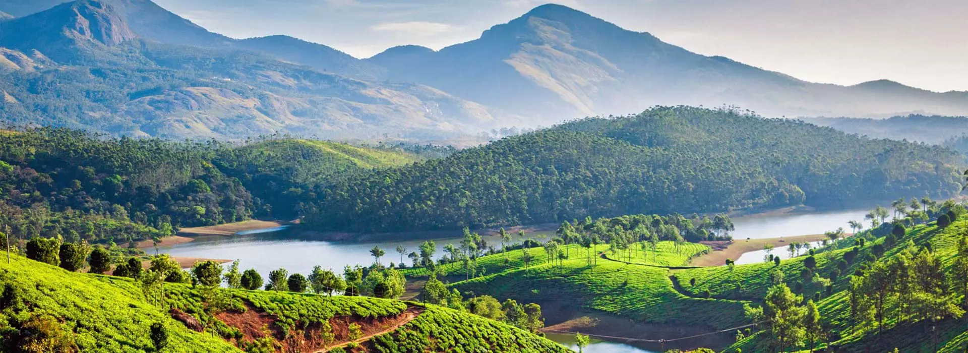 Tea plantations cover rolling green hills near a winding river, with forested slopes and mountains in the background near Munnar, Kerala, India