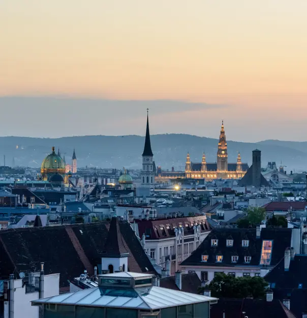 View of Vienna rooftops