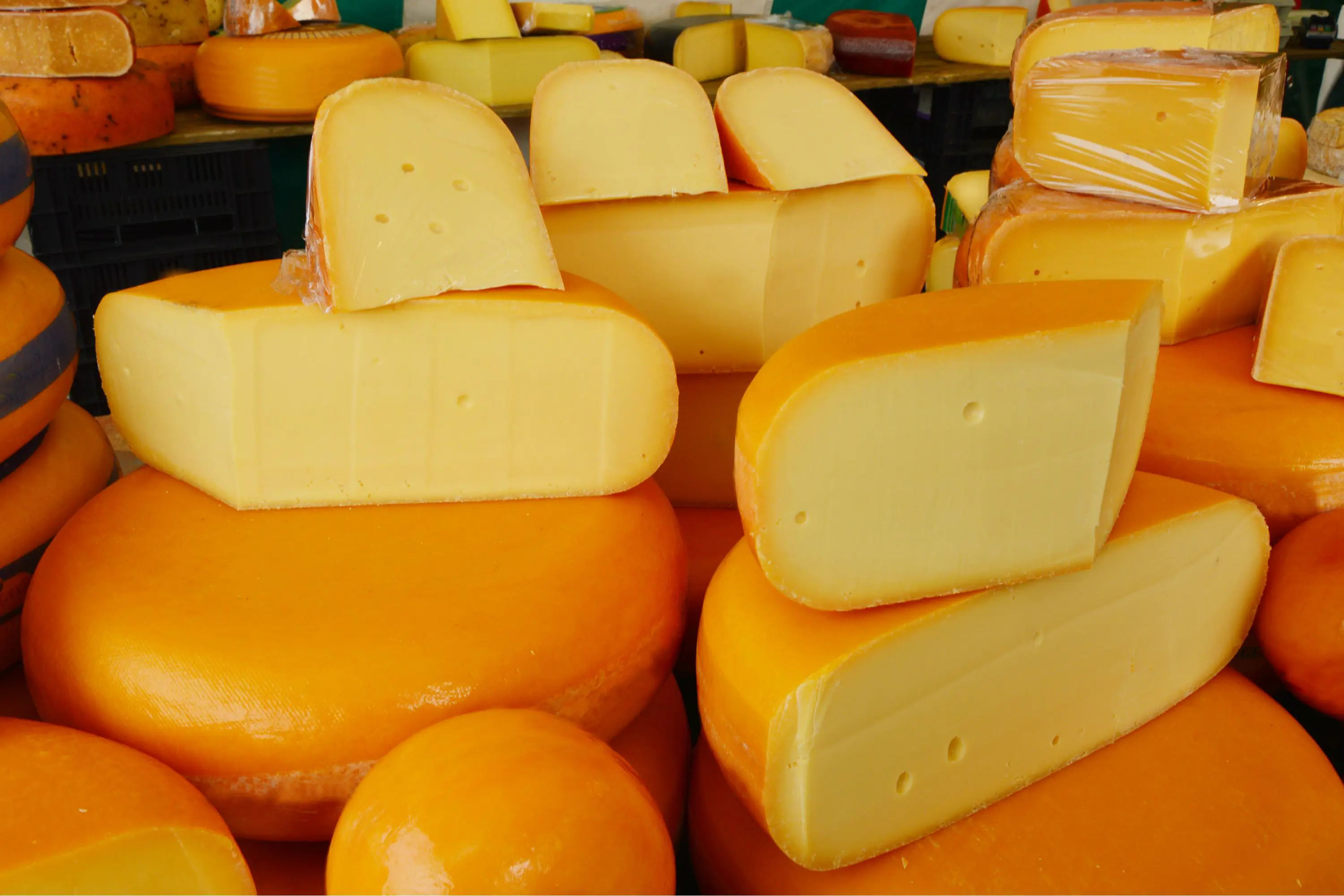 Wheels Of Edam