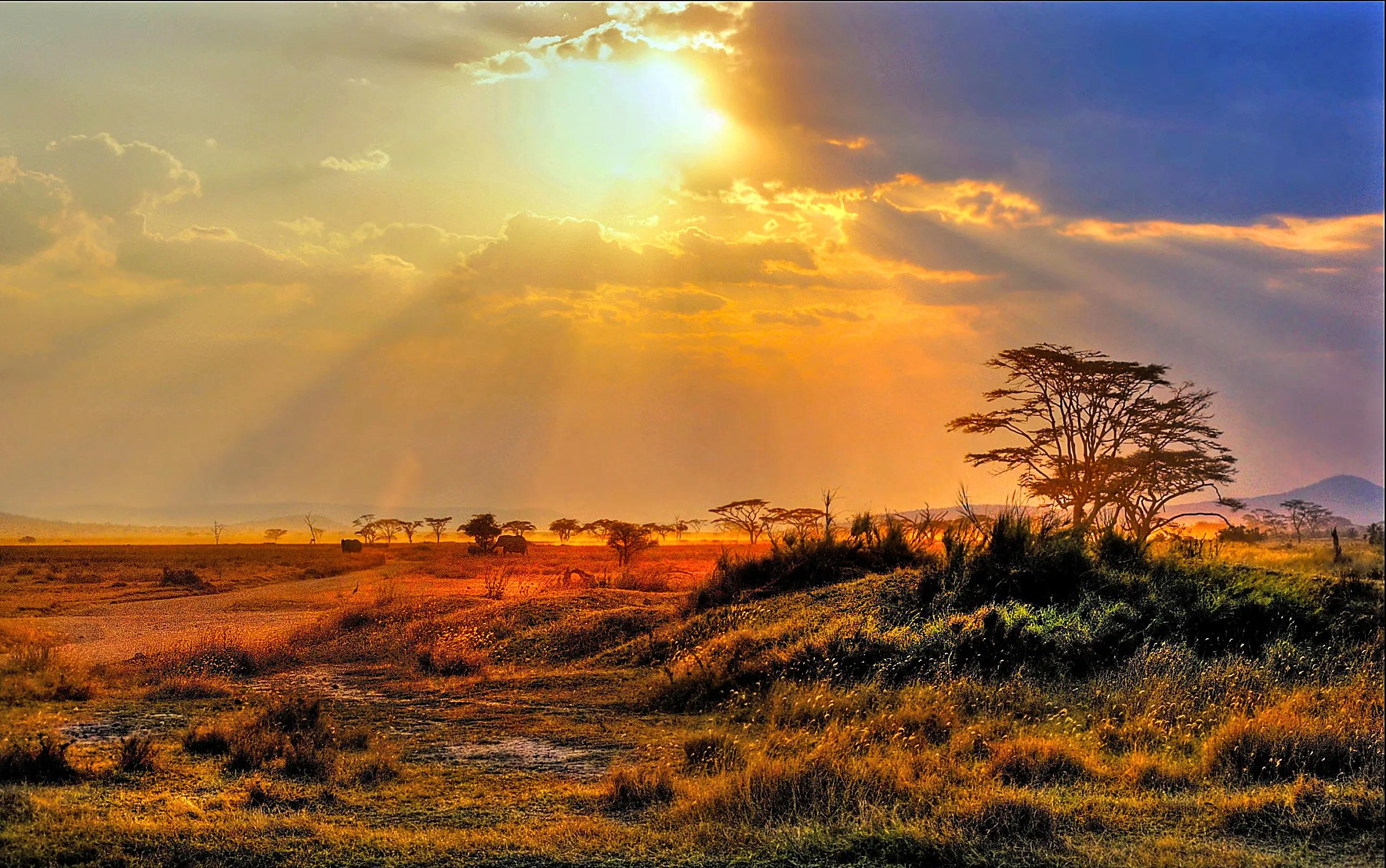 Kruger National Park, sunset