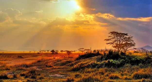 Kruger National Park, sunset
