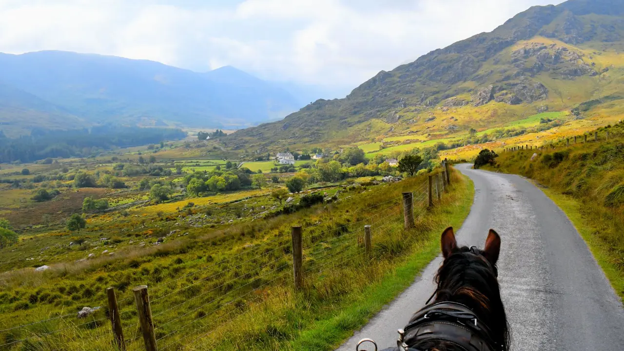 Horse-drawn jaunting car, Killarney National Park