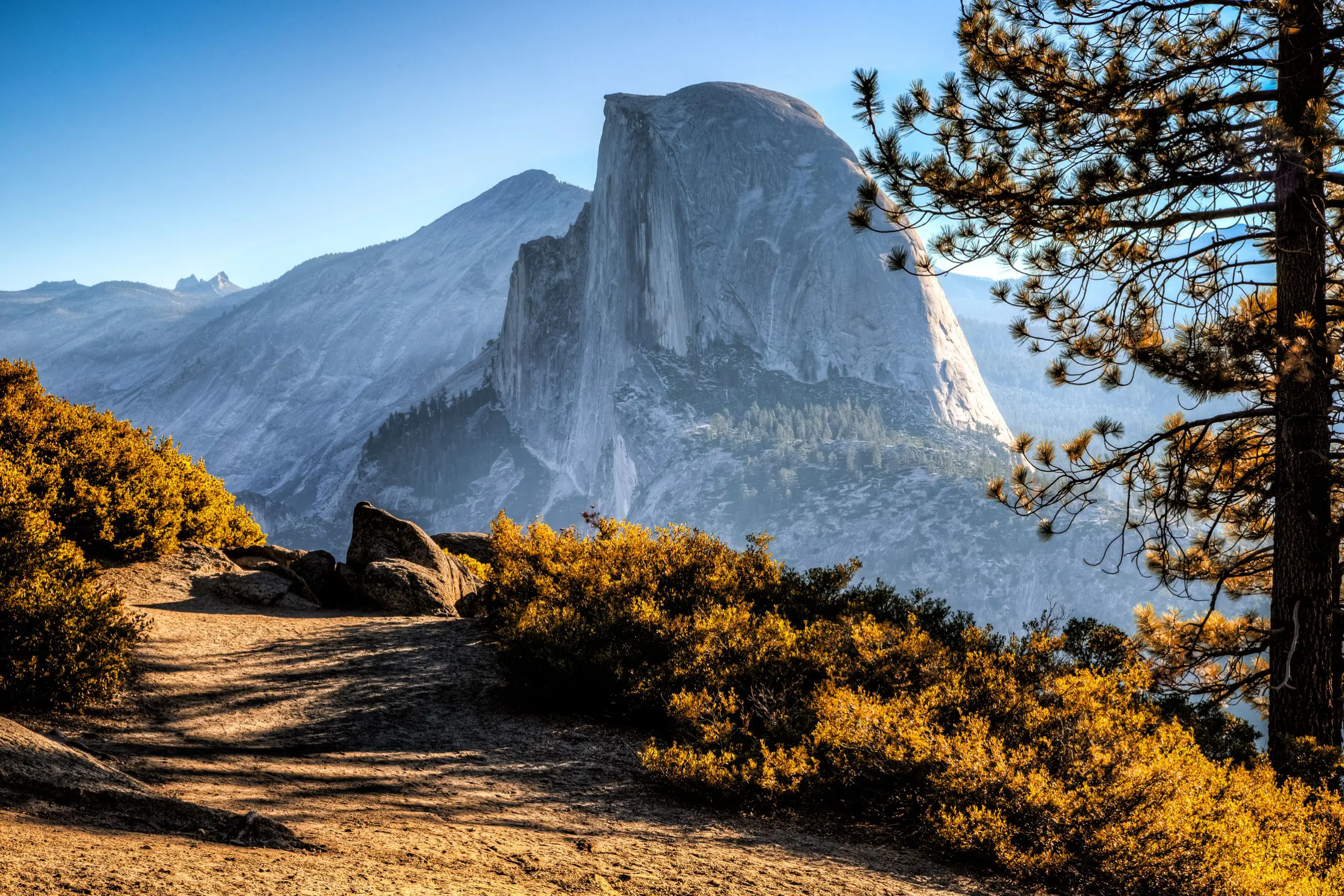 Half Dome, Yosemite National Park, California, with warm yellow shrubs in the foreground, a mountain in the distance, and clear blue skies overhead