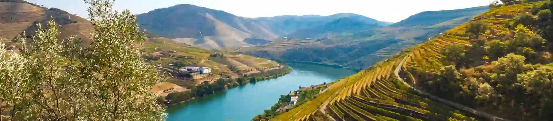 Sh 1028509903 The Duoro Valley EXT (1)