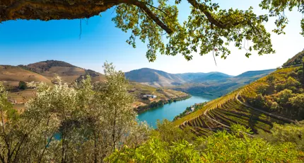 Sh 1028509903 The Duoro Valley, Portugal