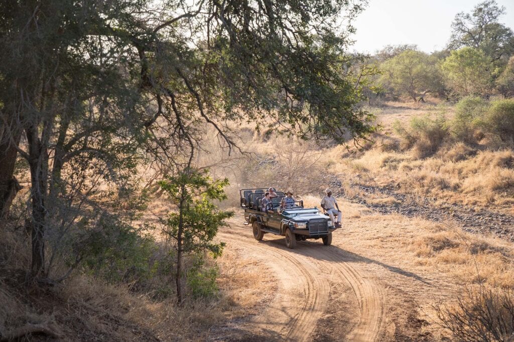 Game drive, Karongwe Game Reserve