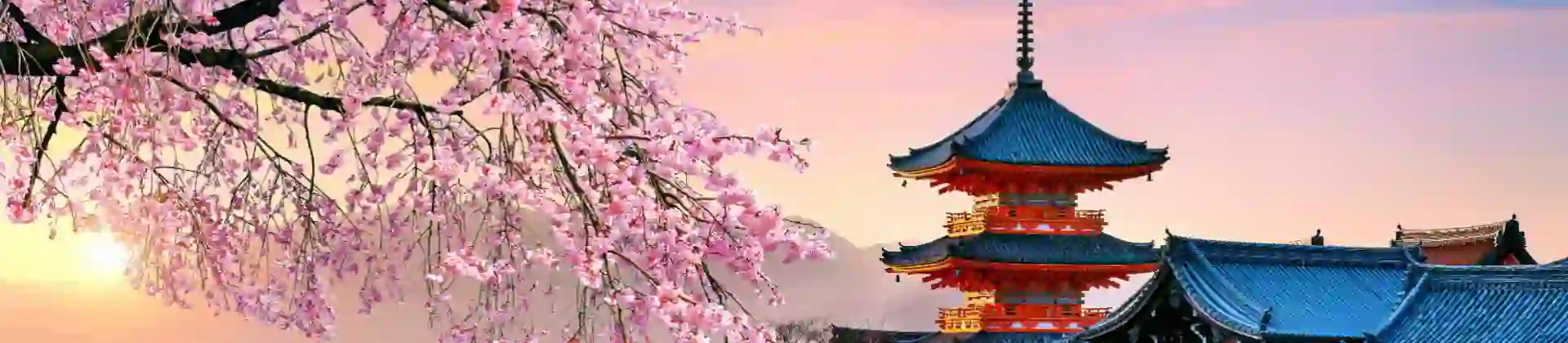 Sh 2584579263 Cherry Blossoms and Red Pagoda at Sunset, Japan