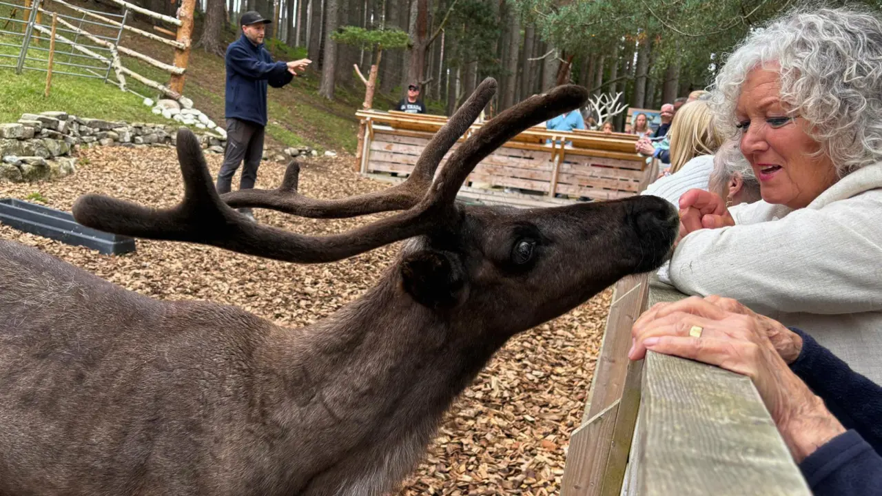 Cairngorm Reindeer Centre