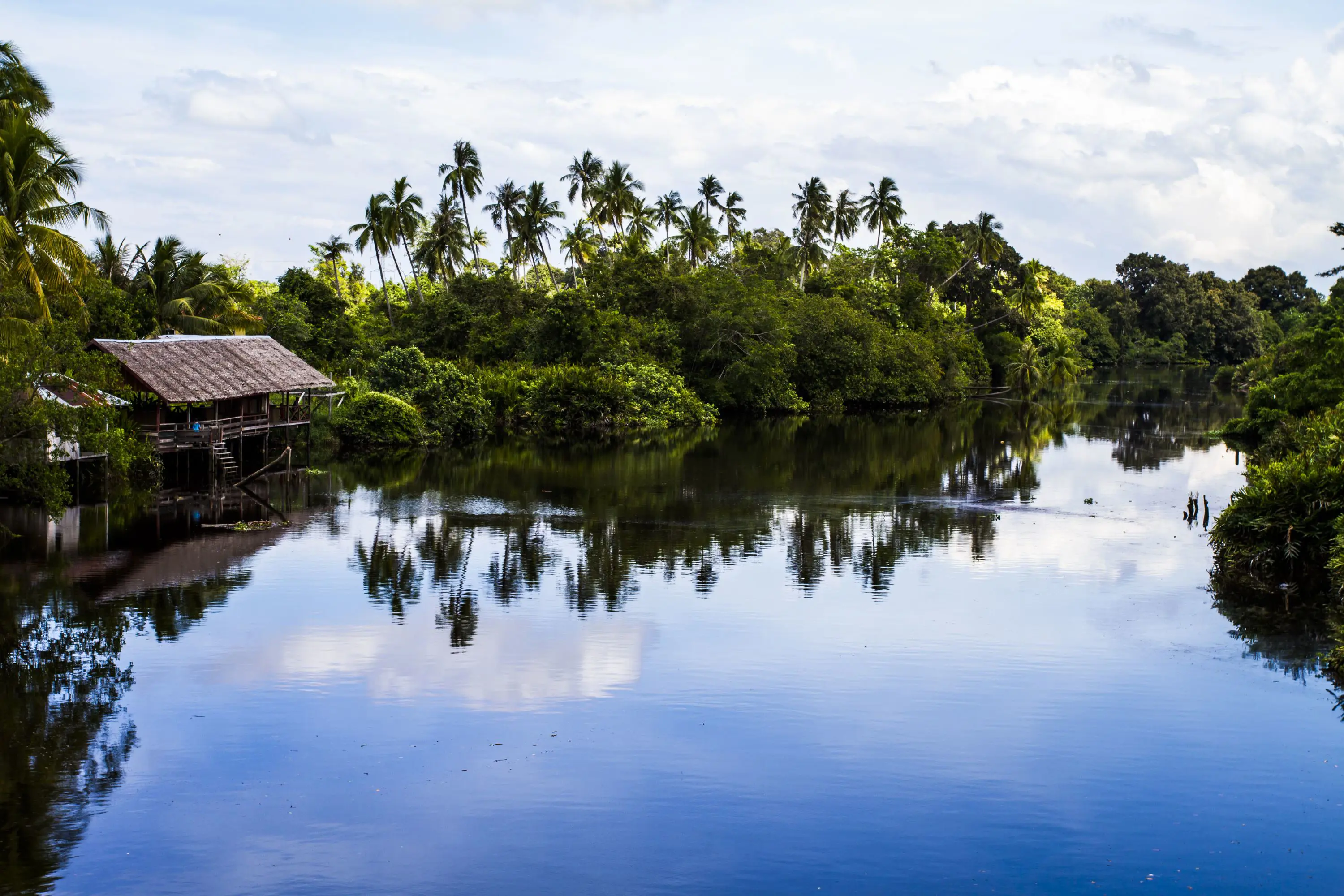 River cruise, Kinabatangan River