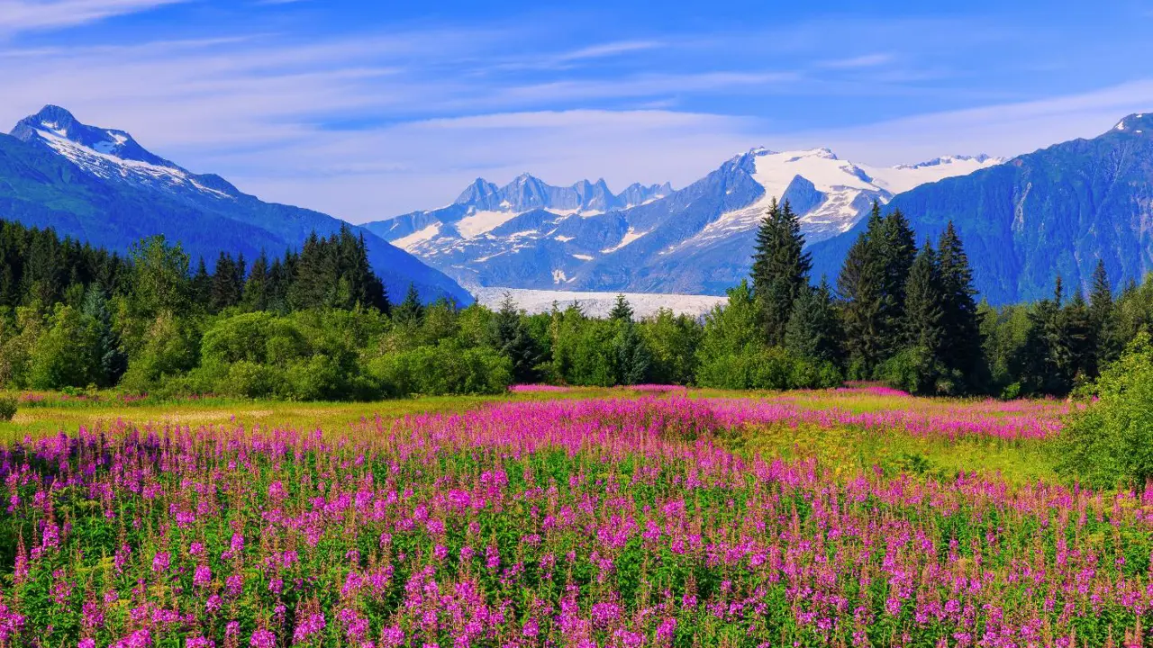 Mendenhall Glacier, Juneau
