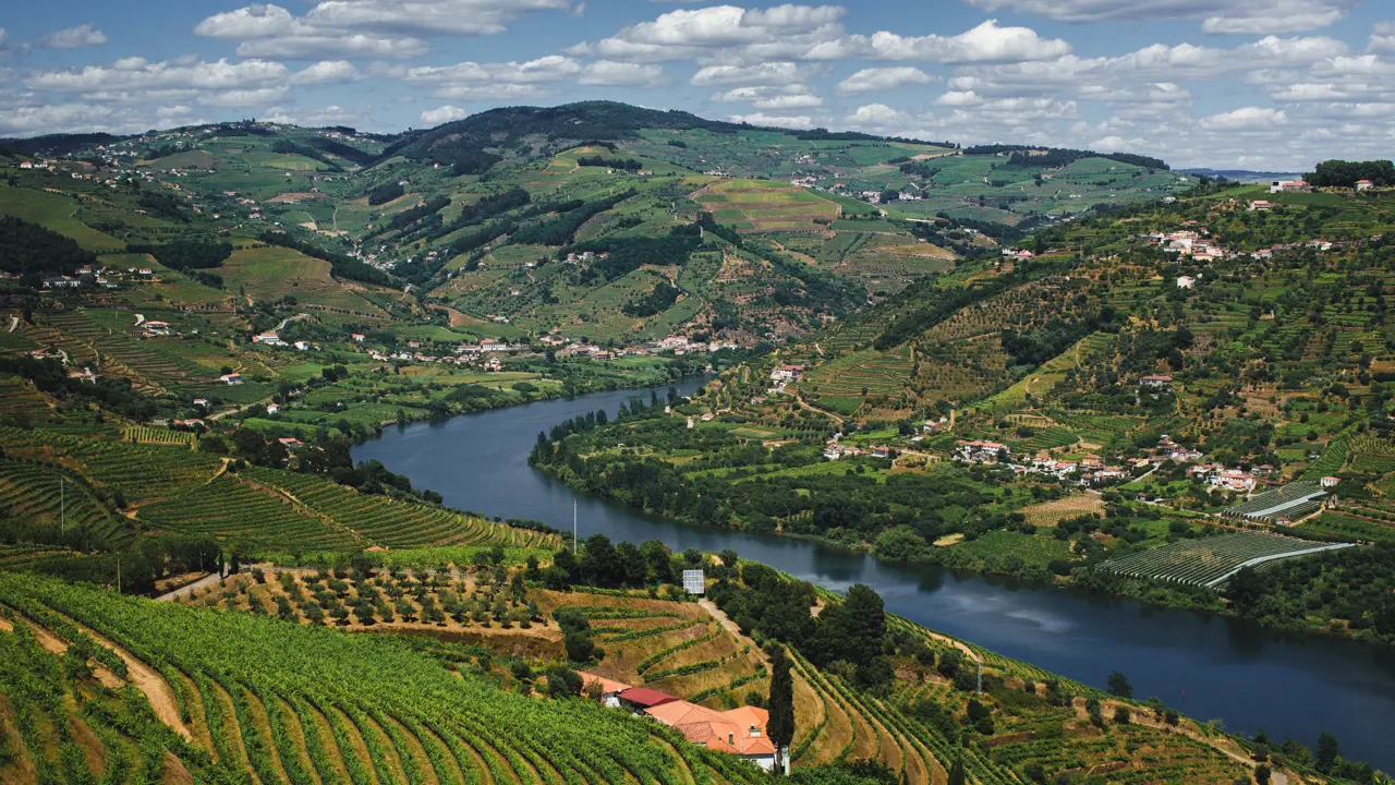 Douro Valley