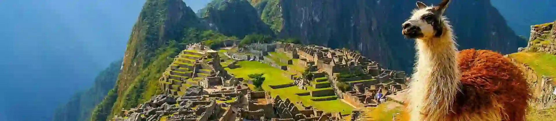 A llama standing among the ancient stone ruins of Machu Picchu, Peru, with the misty Andes mountains in the background