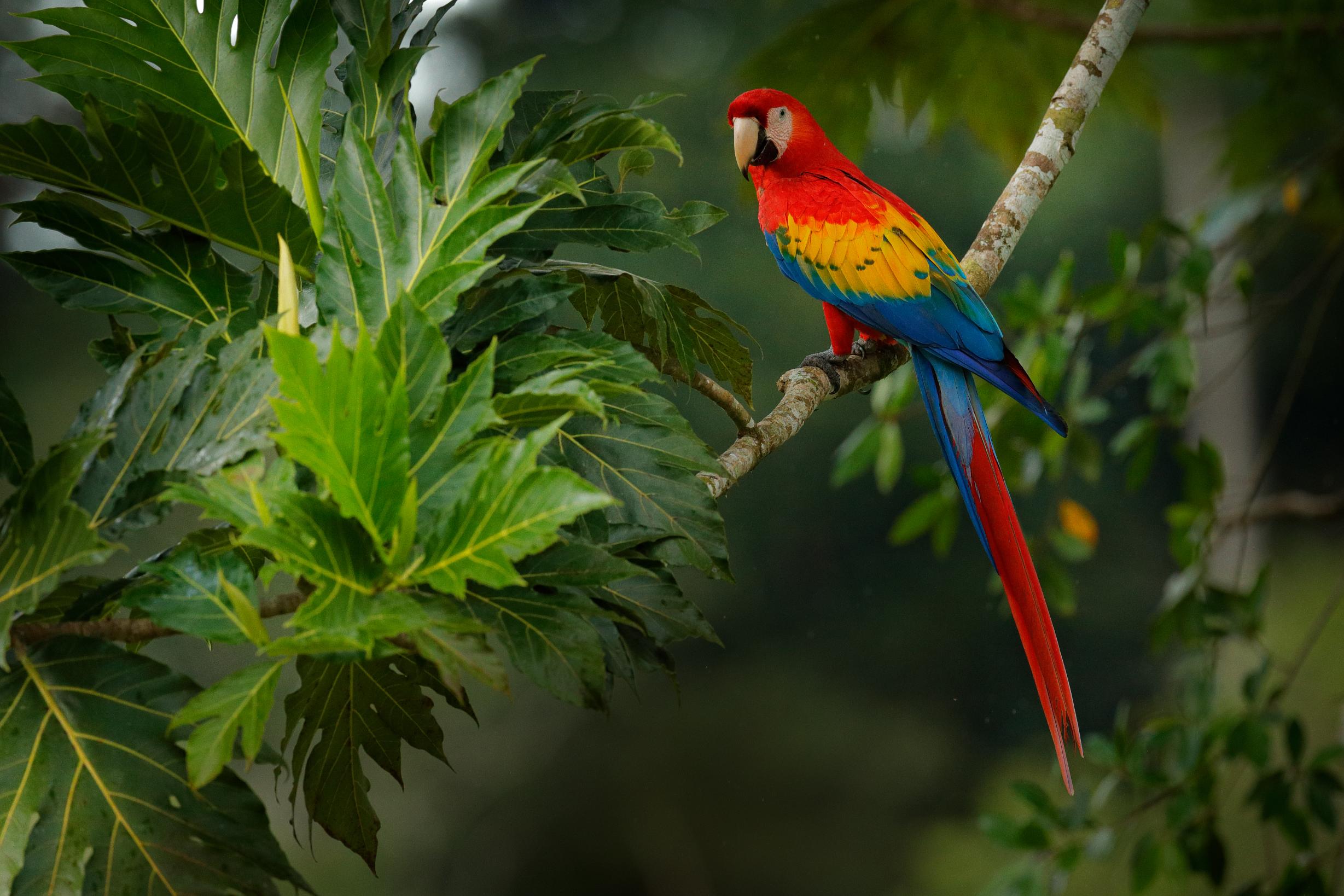 Shutterstock 1397620757 (1)