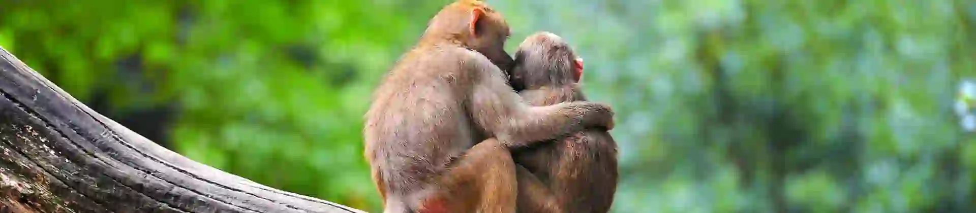 2000X1400 Main Sh 745214758