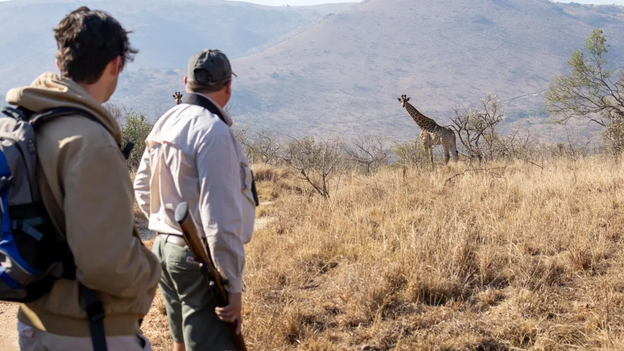 Babanango Game Reserve, bush walk