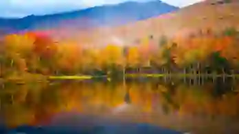 1920 Sh 771099262 Lincoln New Hampshire