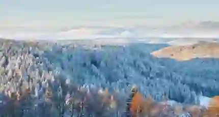 Felberg, Black Forest, Germany