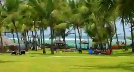 Mombasa Beach, Kenya, featuring an open green space with palm trees and sun loungers, and the clear blue sea beyond