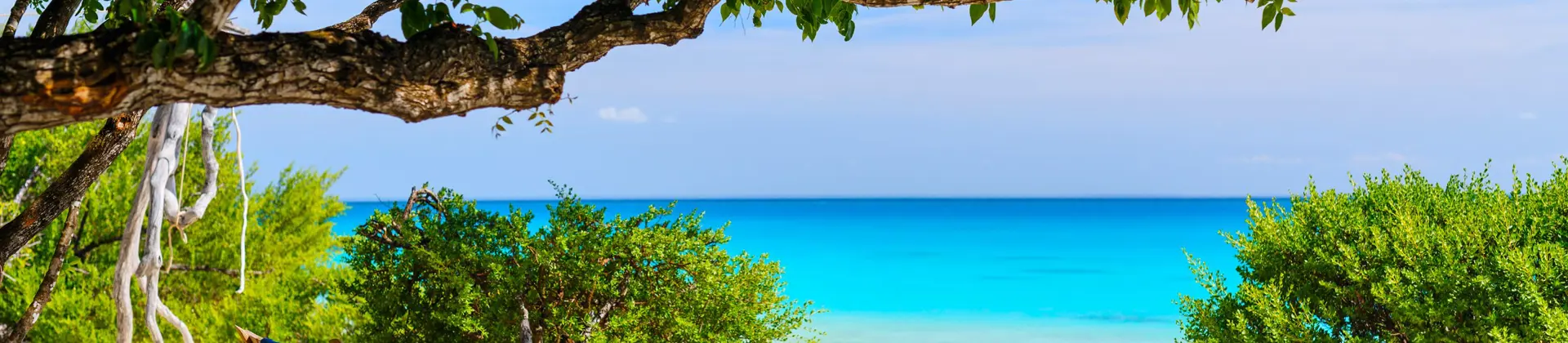 South Mozambique beach