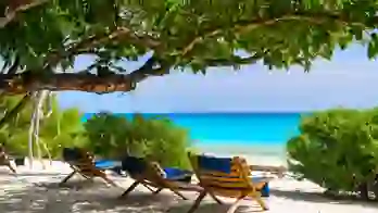 South Mozambique beach