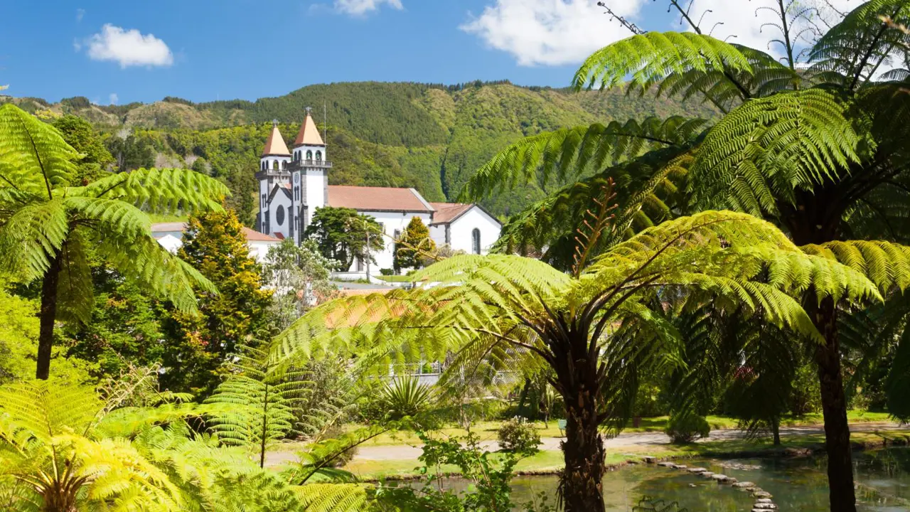 A view of a local church through the palm trees in Ponta Delgada
