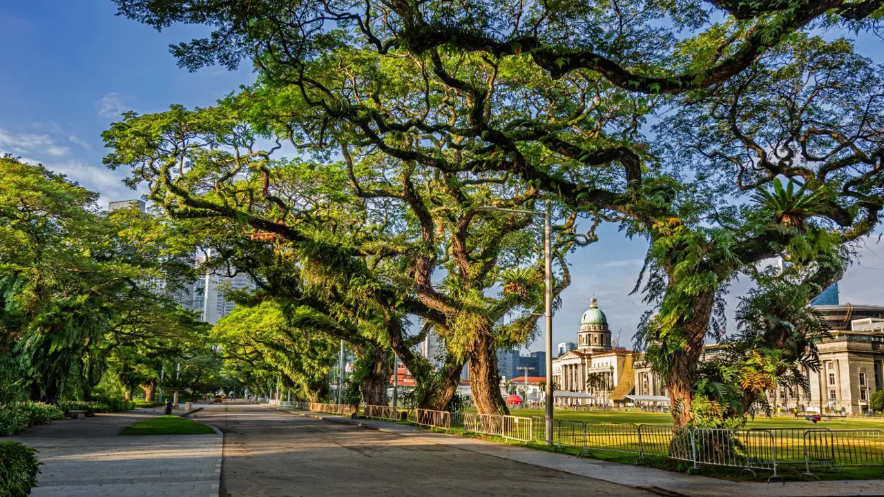 View of National Gallery from Esplanade Park, Singapore