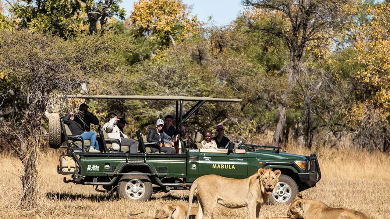 Mabula Lodge Safari Lions