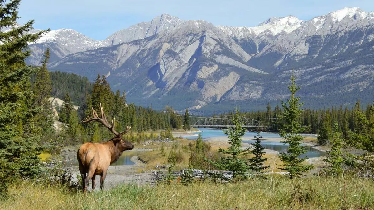 Westerncanada00001