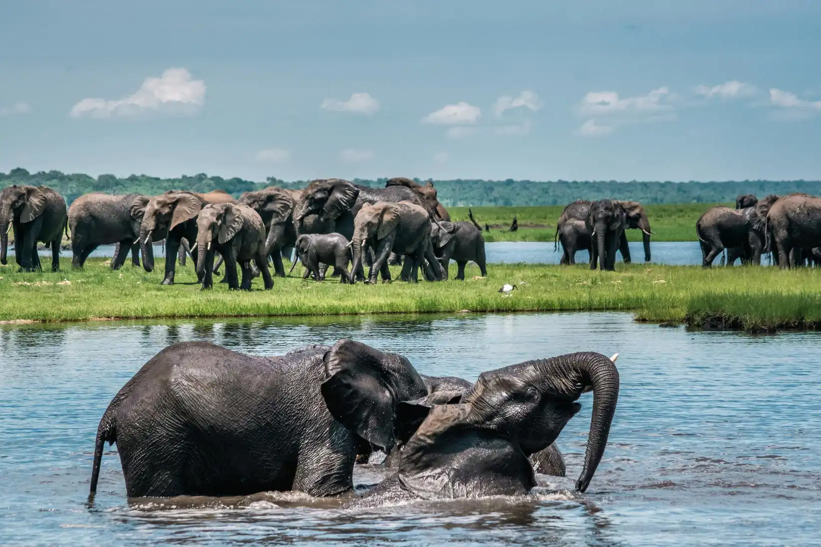 The Chobe Safari Lodge Boat Safari 23