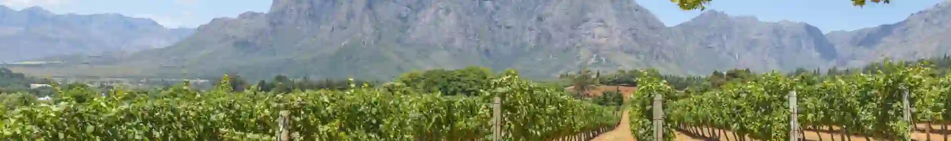 Cape Winelands South Africa