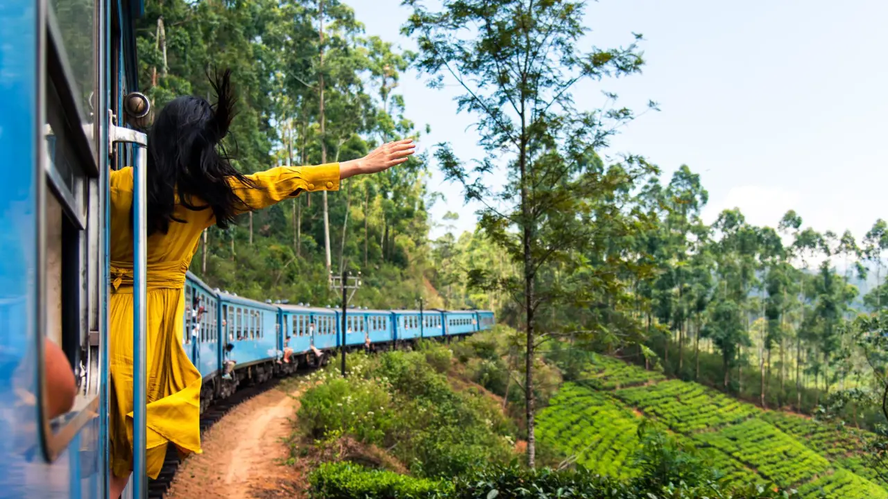 Train through tea plantation
